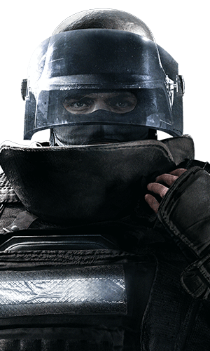 Rook