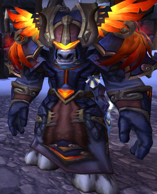 Protection Paladin